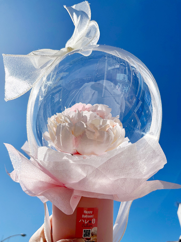 夢見るピオニー