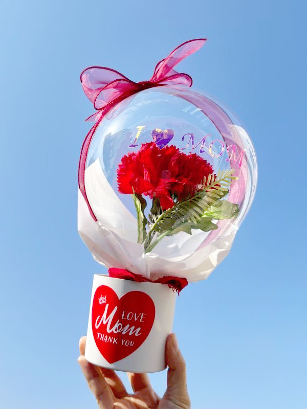 母の日に　カーネーションポット1輪（赤）