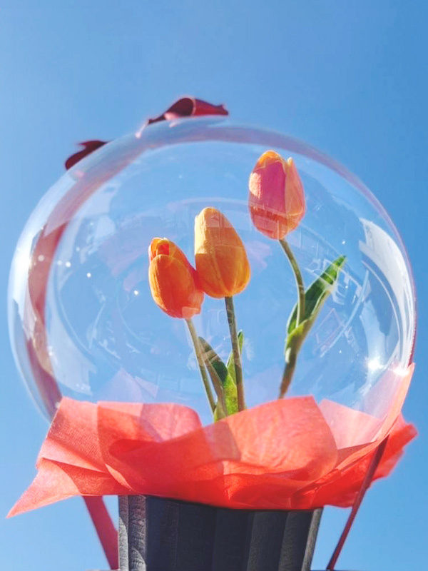 ハツラツチューリップバルーン